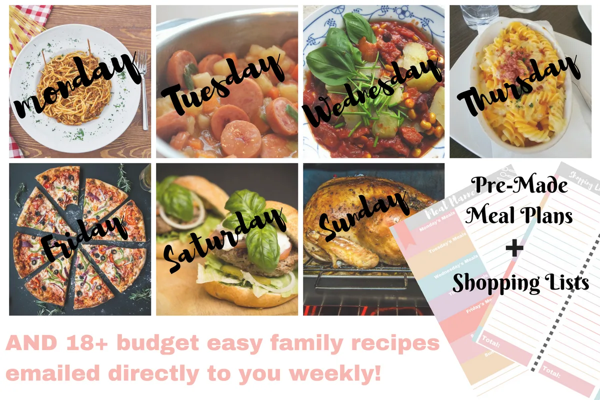 Budget My Meals Subscription