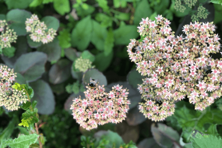 Tips To Brighten Up Your Garden And Create A Beautiful Outdoor Space