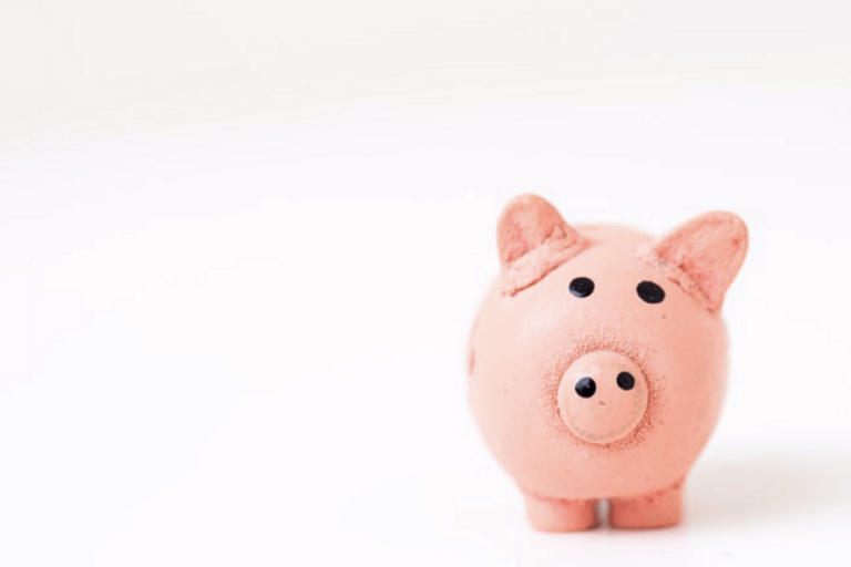Pink pig with a white background