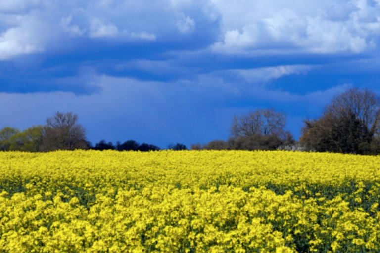Using Your Land To Generate An Income