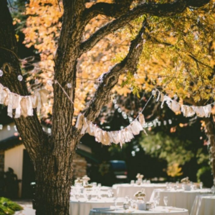 5 Quick Design Ideas for Your Outdoor Wedding