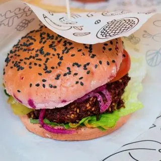 Vegetarian burger
