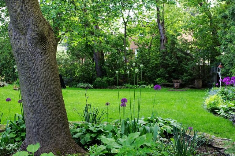 Easy ways to brighten up your garden
