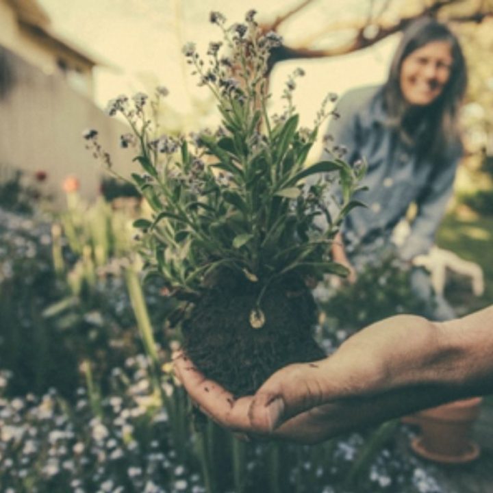 Every Savvy Gardener Knows These 7 Gardening Hacks