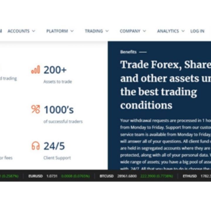 FinsRoyal Review – Trade Like a Charm with a Globally Successful Platform