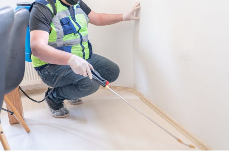 Prevention Tips to Keep Pests Out of Your Home