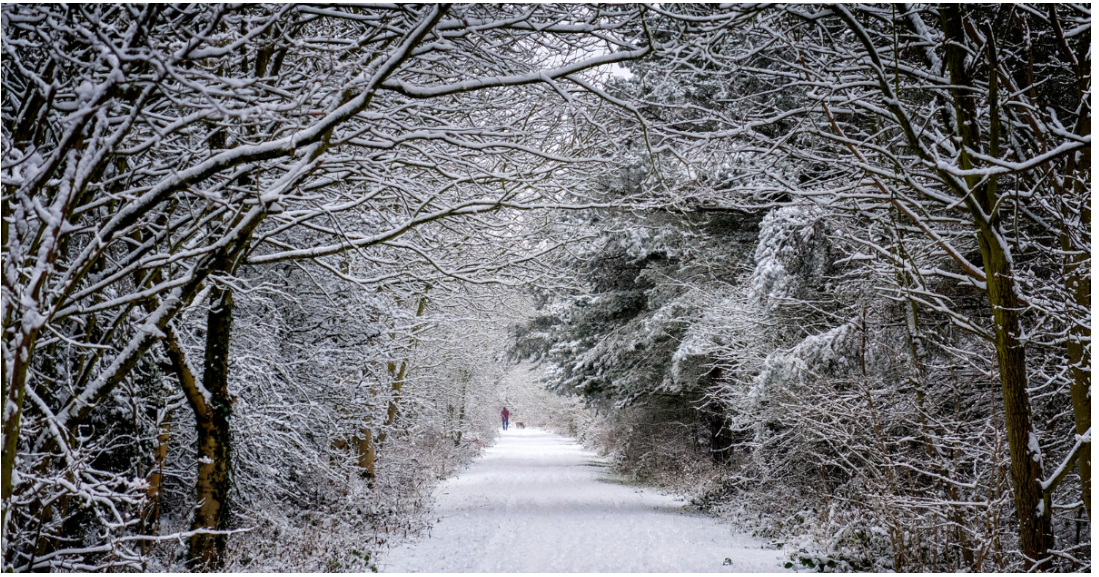 Preserving your Wellbeing this Winter