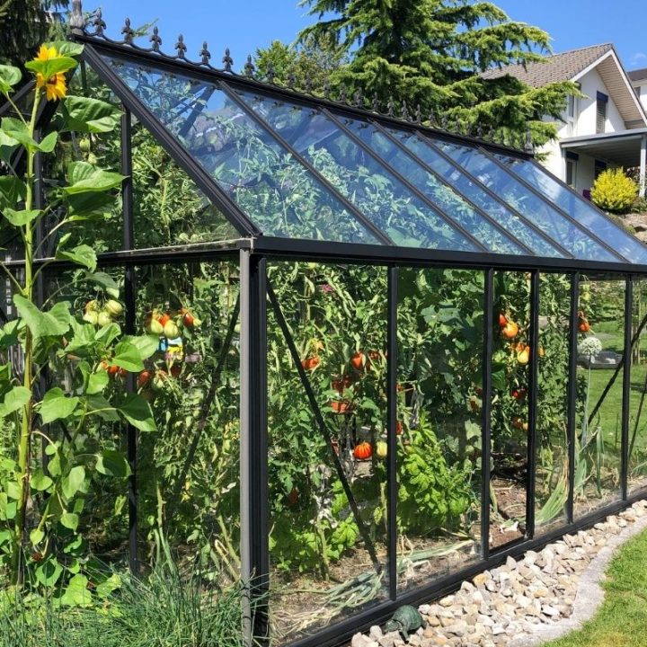 The Benefits of Buying Greenhouses From a UK Based Supplier