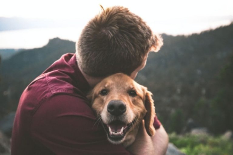 Tips To Help You Keep Your Pets Healthy And Happy