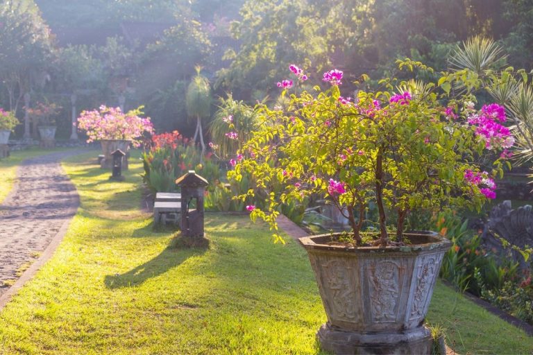 Why Are Gardens So Important When House Hunting?