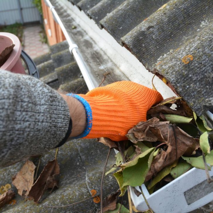 <strong>Why Regular Roof Cleaning Can Save You Money</strong>