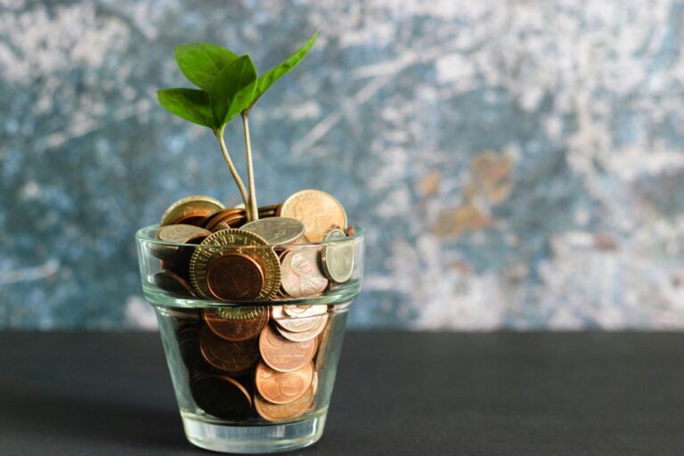 Savings money